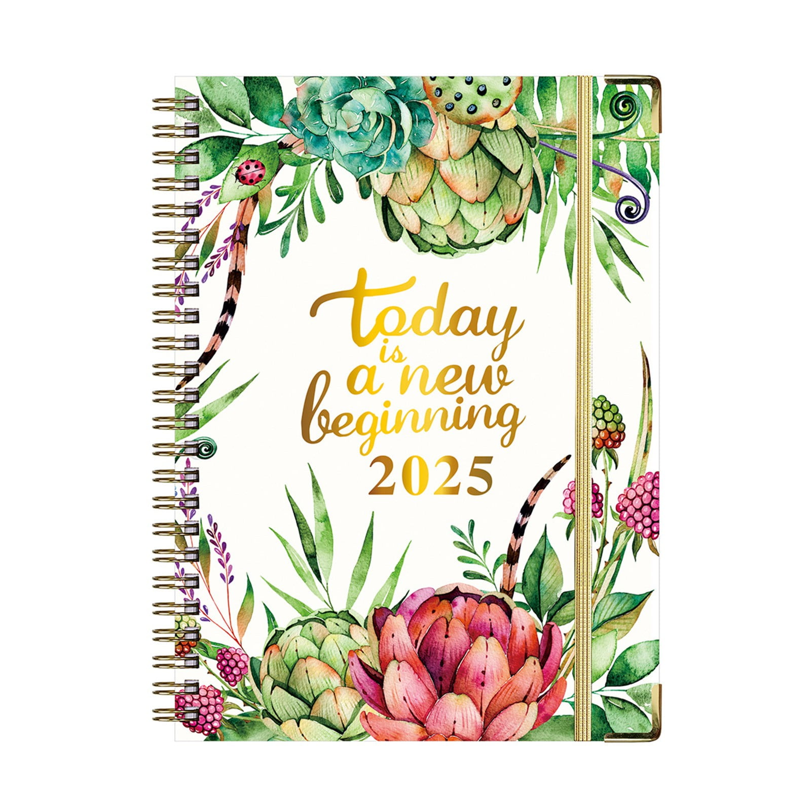 bloom daily planners 2025 Hardcover Calendar Year Goal & Vision Planner