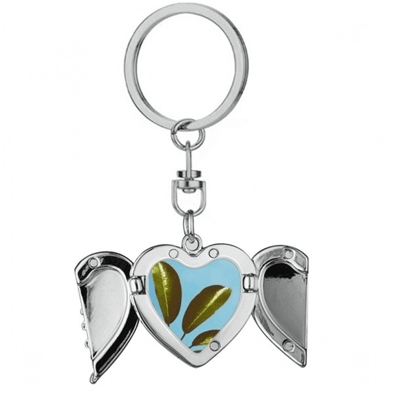 blue picture nature heart angel wing key chain holder