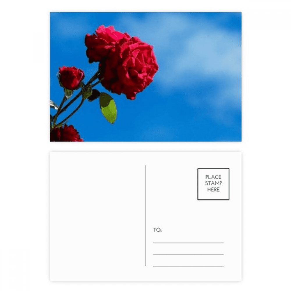 blue sky red roses green postcard set birthday mailing thanks greeting card