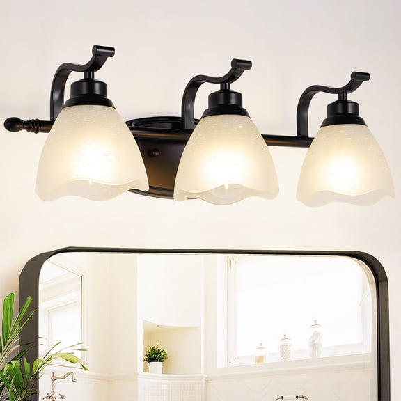 bokifol 3-Light Bathroom Light Fixtures,20.47" Black Modern Vanity Lights with Clear Glass Shade,Bathroom Wall Lamp for Mirror Kitchen Living Room Hallway Cabinet Porch