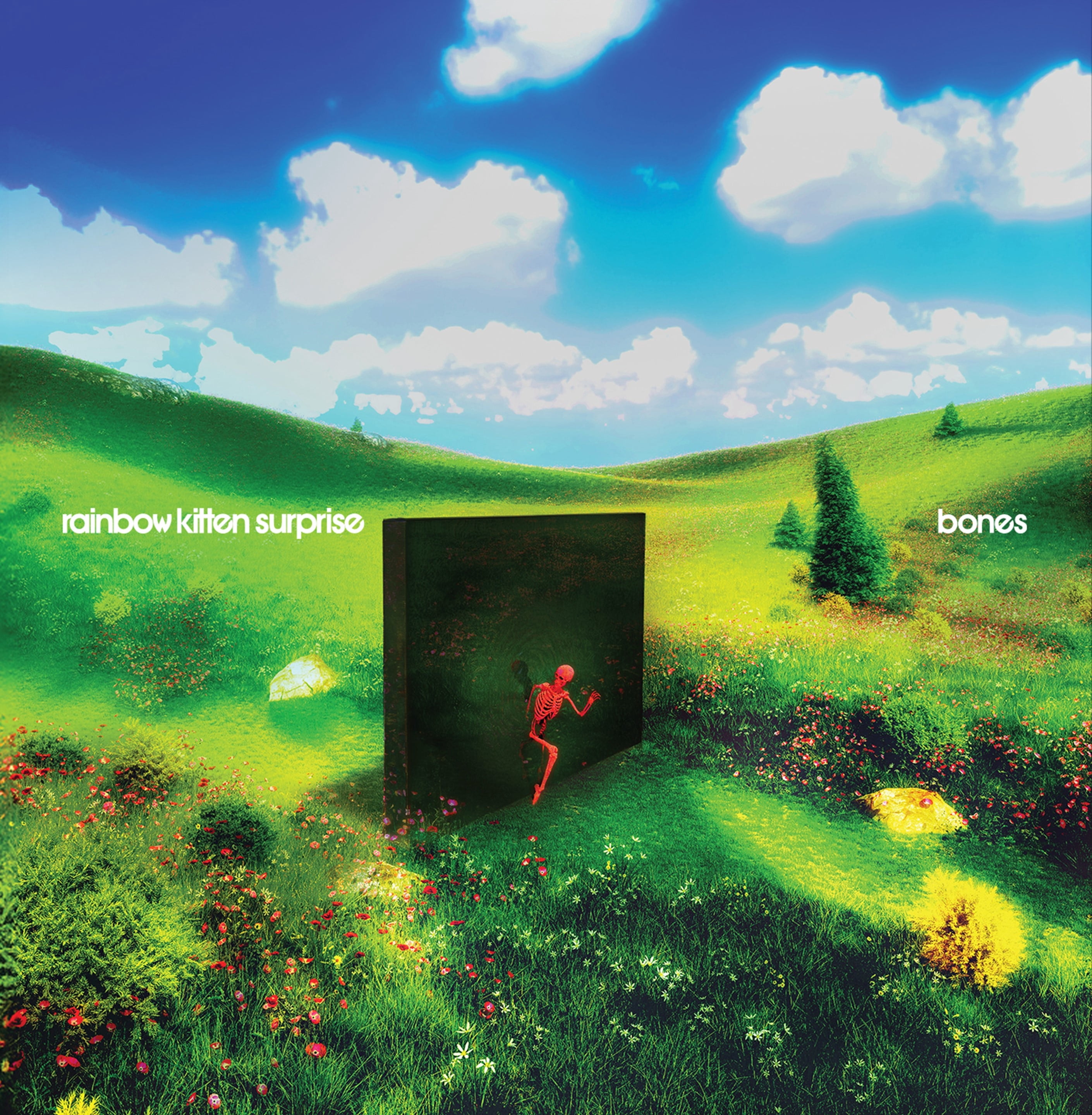 Rainbow Kitten Surprise - bones (Black Vinyl) - Music & Performance