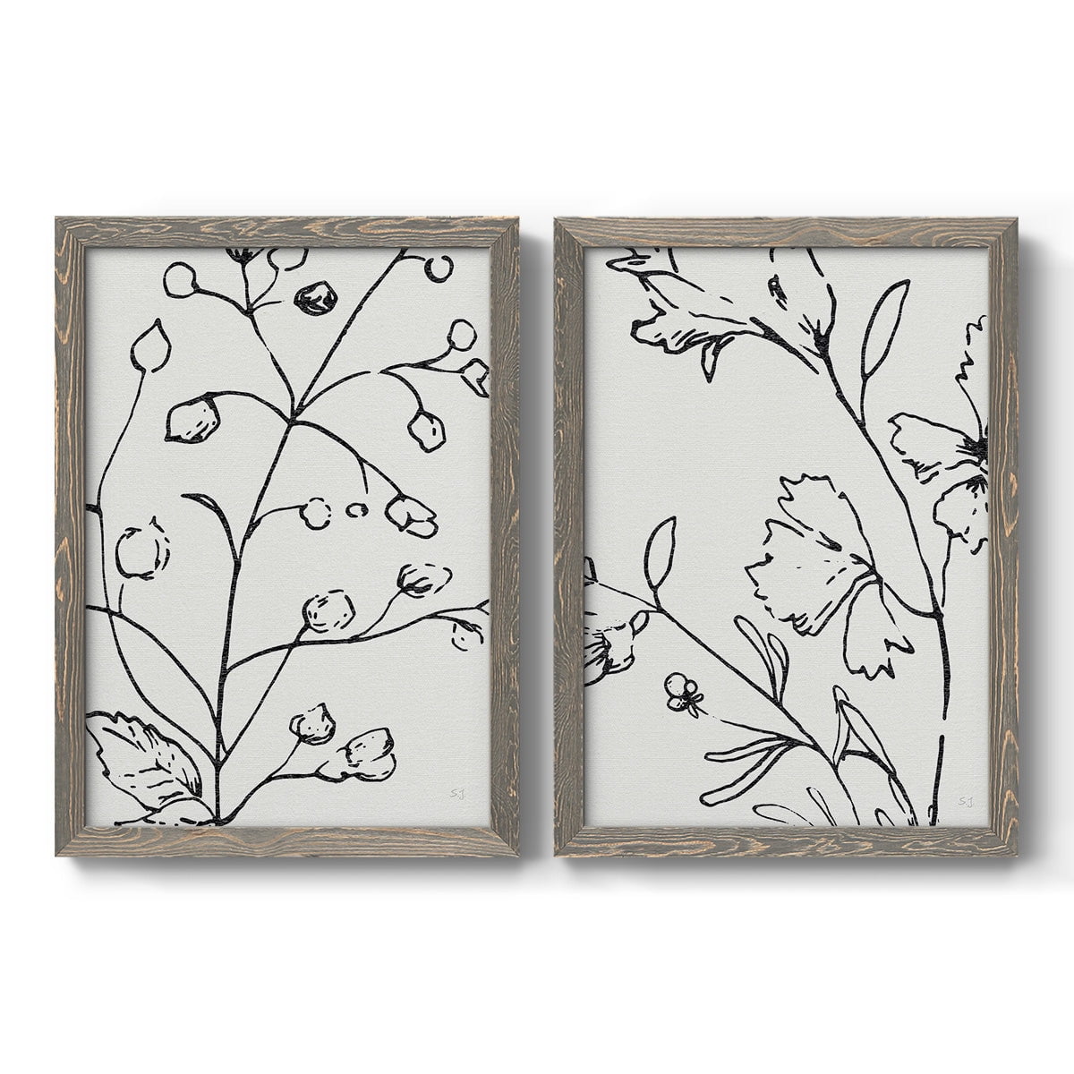 Botanical Sketch I - Premium Framed Canvas 2 Piece Set - Ready to Hang