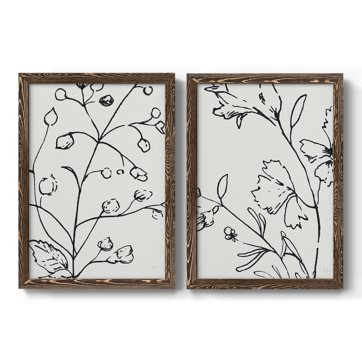 Botanical Sketch I - Premium Framed Canvas 2 Piece Set - Ready to Hang