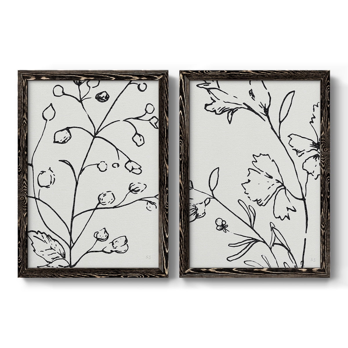 Botanical Sketch I - Premium Framed Canvas 2 Piece Set - Ready to Hang