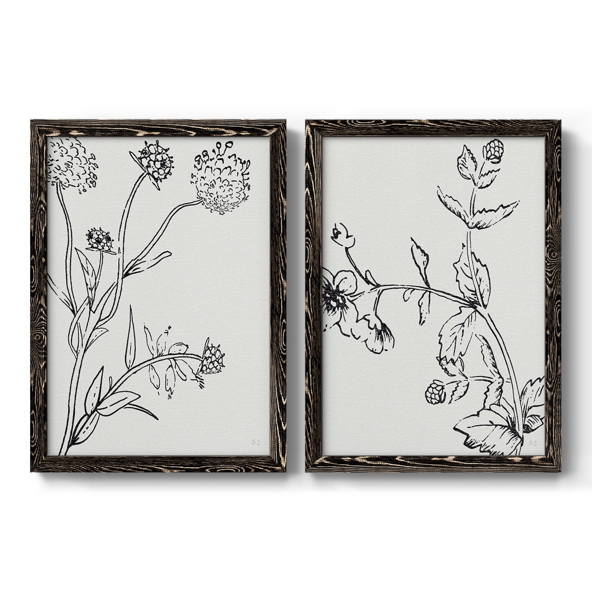 Botanical Study I - Premium Framed Canvas 2 Piece Set - Ready to Hang