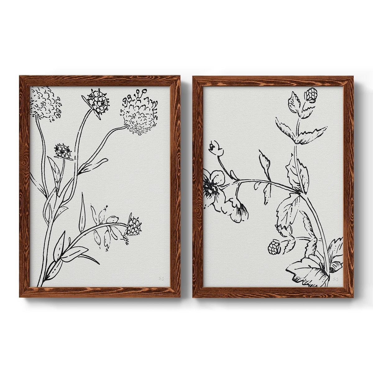 Botanical Study I - Premium Framed Canvas 2 Piece Set - Ready to Hang