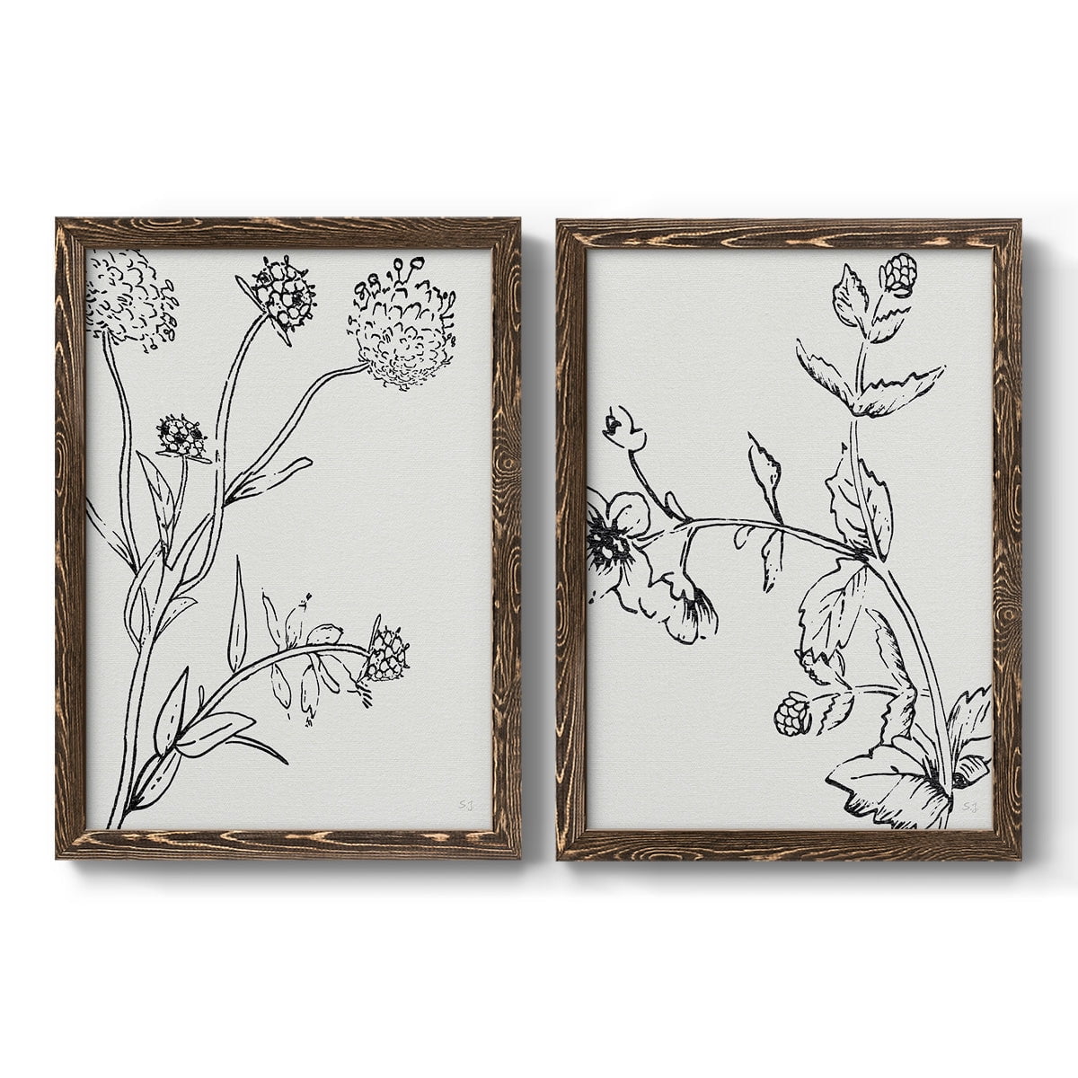 Botanical Study I - Premium Framed Canvas 2 Piece Set - Ready to Hang