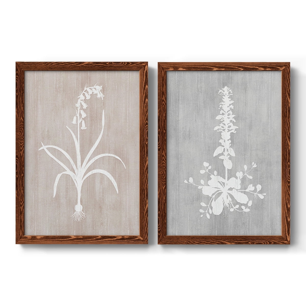 Botany Beauty I - Premium Framed Canvas 2 Piece Set - Ready to Hang
