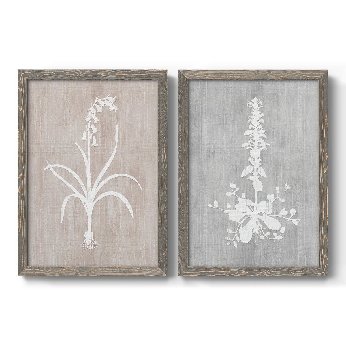 Botany Beauty I - Premium Framed Canvas 2 Piece Set - Ready to Hang