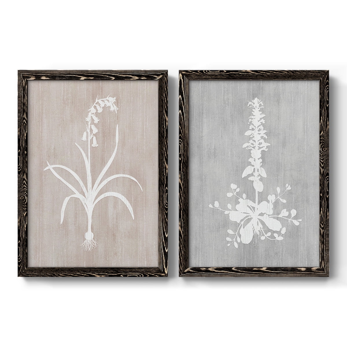 Botany Beauty I - Premium Framed Canvas 2 Piece Set - Ready to Hang