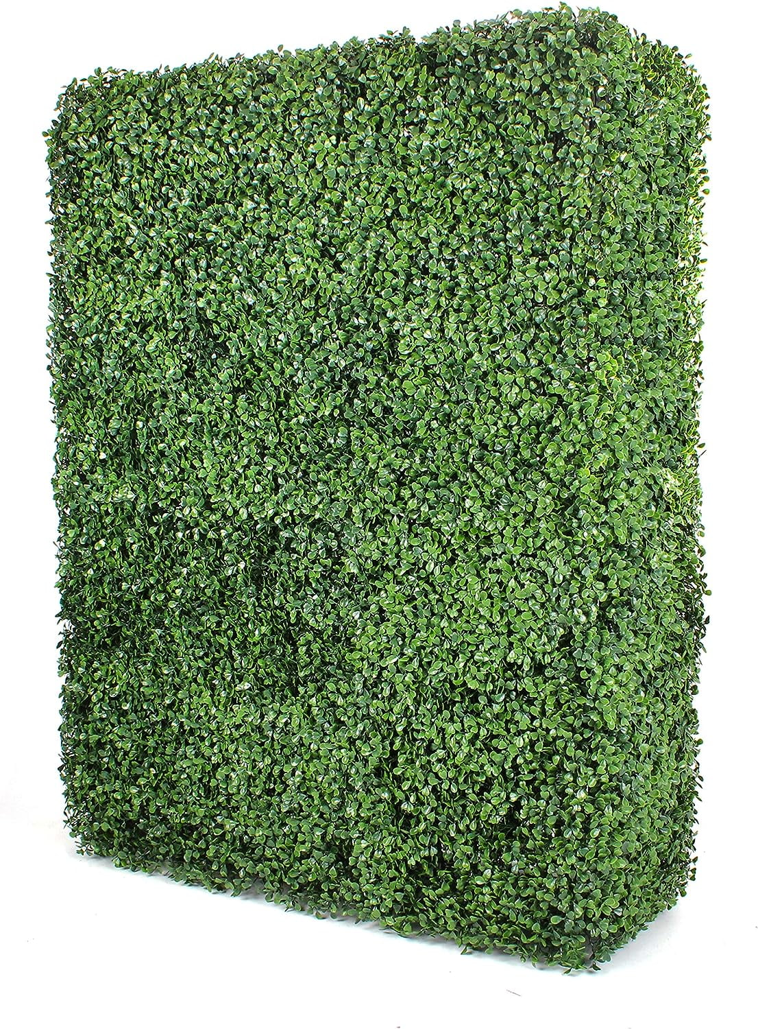 boxwood hedge wall outdoor artificial privacy plant great boxwood