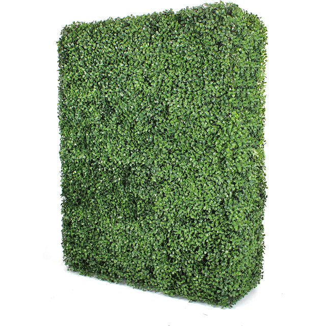 boxwood hedge wall outdoor artificial privacy plant great boxwood