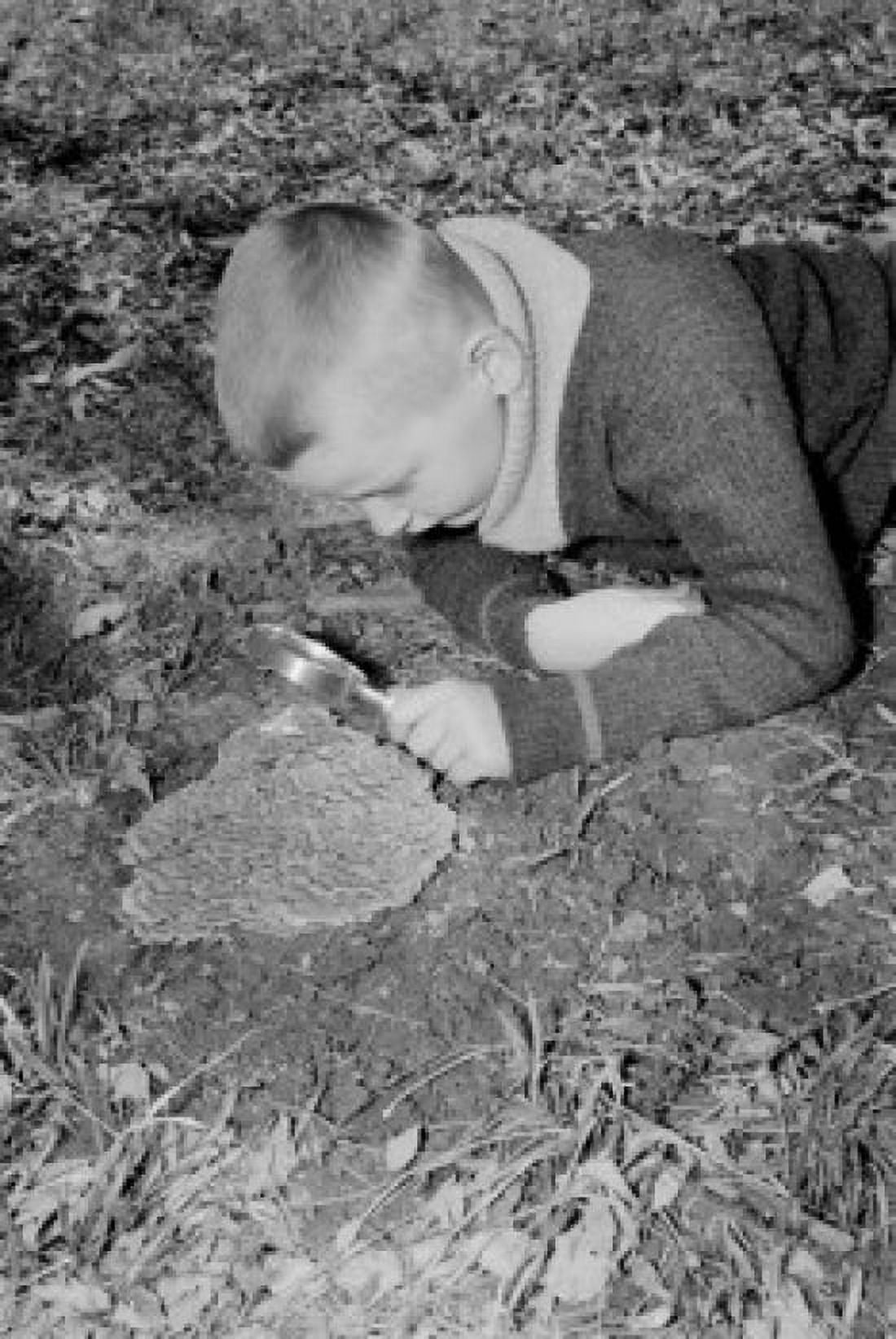 boy examining anthill with magnifying glass Canvas Art - (18 x 24)