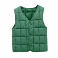 thumbnail image 1 of breaise Baby Boys Girls Puffer Vest Winter Warm Lightweight Toddler Vest Outerwear High Neck Cute Sleeveless Jacket, 1 of 4