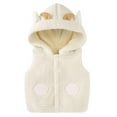 thumbnail image 1 of breaise Baby Kids Boys Girls Fuzzy Sherpa Vest Hooded Jacket Coat Faux Sleeveless Soft Fleece Outwear Gilet for Toddler, 1 of 3