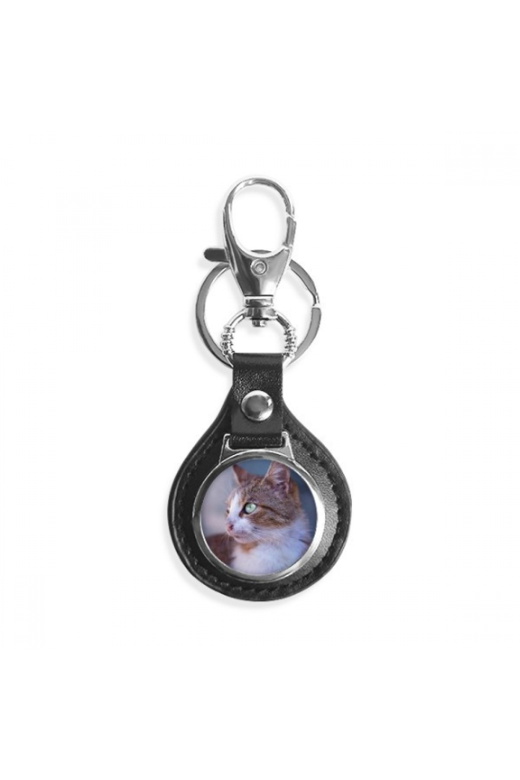 brown cat animal profile stare key link chain keyholder finder hook metal