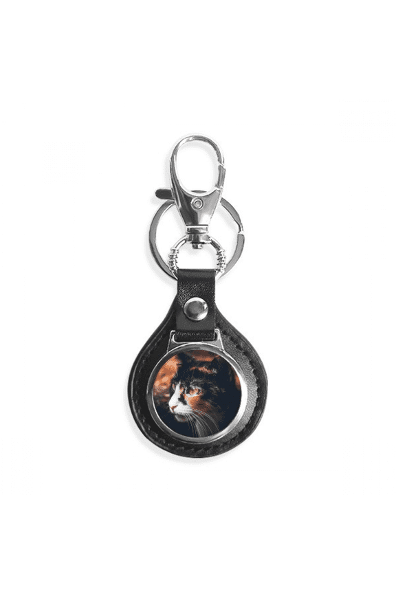 brown cat stare profile animal vintage key link chain keyholder finder hook metal