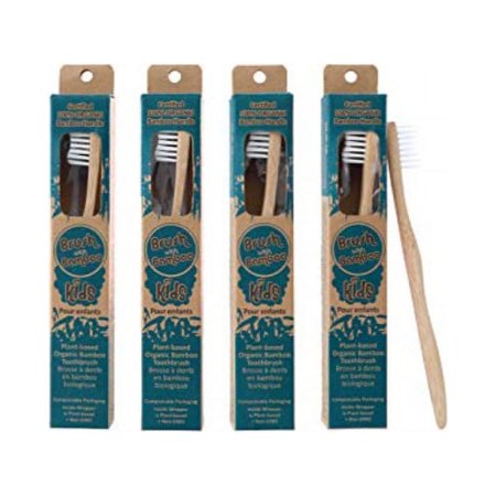 brush with bamboo (by clean planetware)