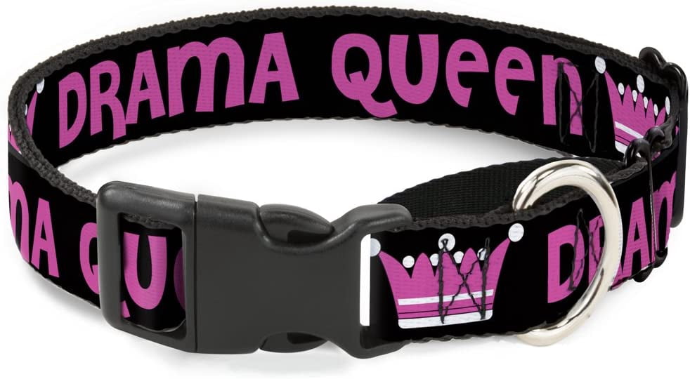 buckle-down drama queen black fuchsia martingale dog collar