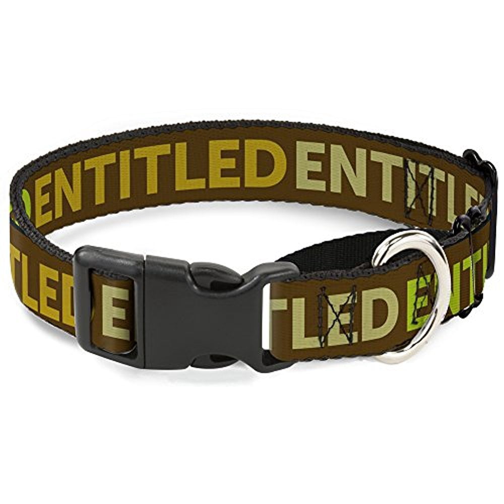 buckle-down entitled tonal greens martingale dog collar