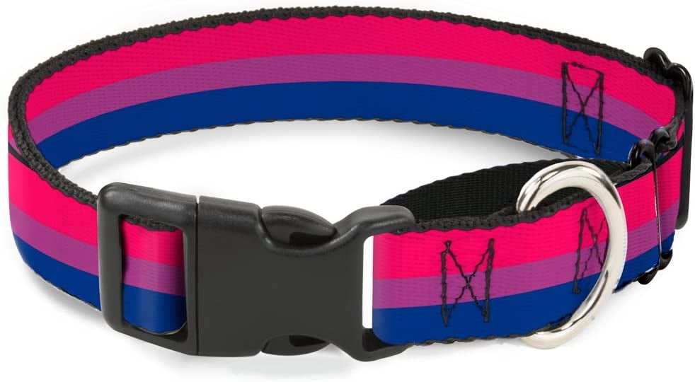 buckle down flag bisexual pink/purple/blue martingale dog collar, 1" wide-fits 15-26" neck-large