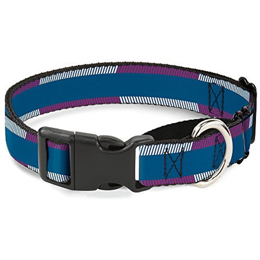 buckle-down hash mark stripe turquoise fuchsia white martingale dog collar