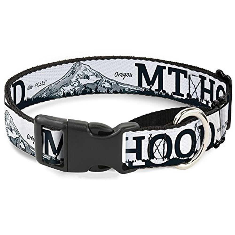buckle-down martingale dog collar - oregon state silhouette blue yellow - 1" wide - fits 15-26" neck size - large