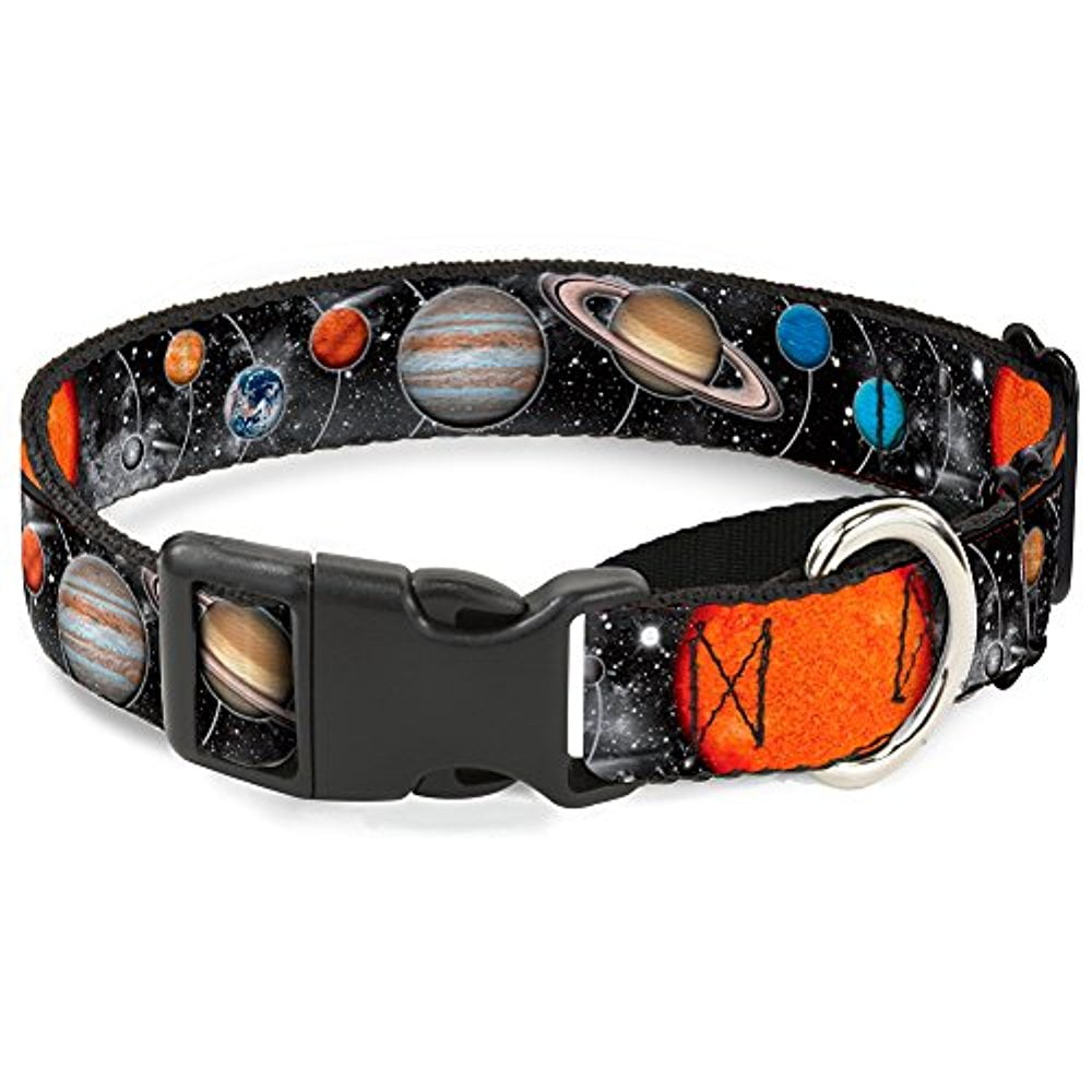 buckle-down martingale dog collar - space