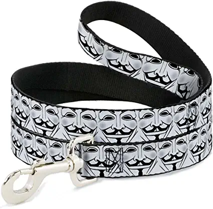 buckle-down pet leash - american flag vivid close-up