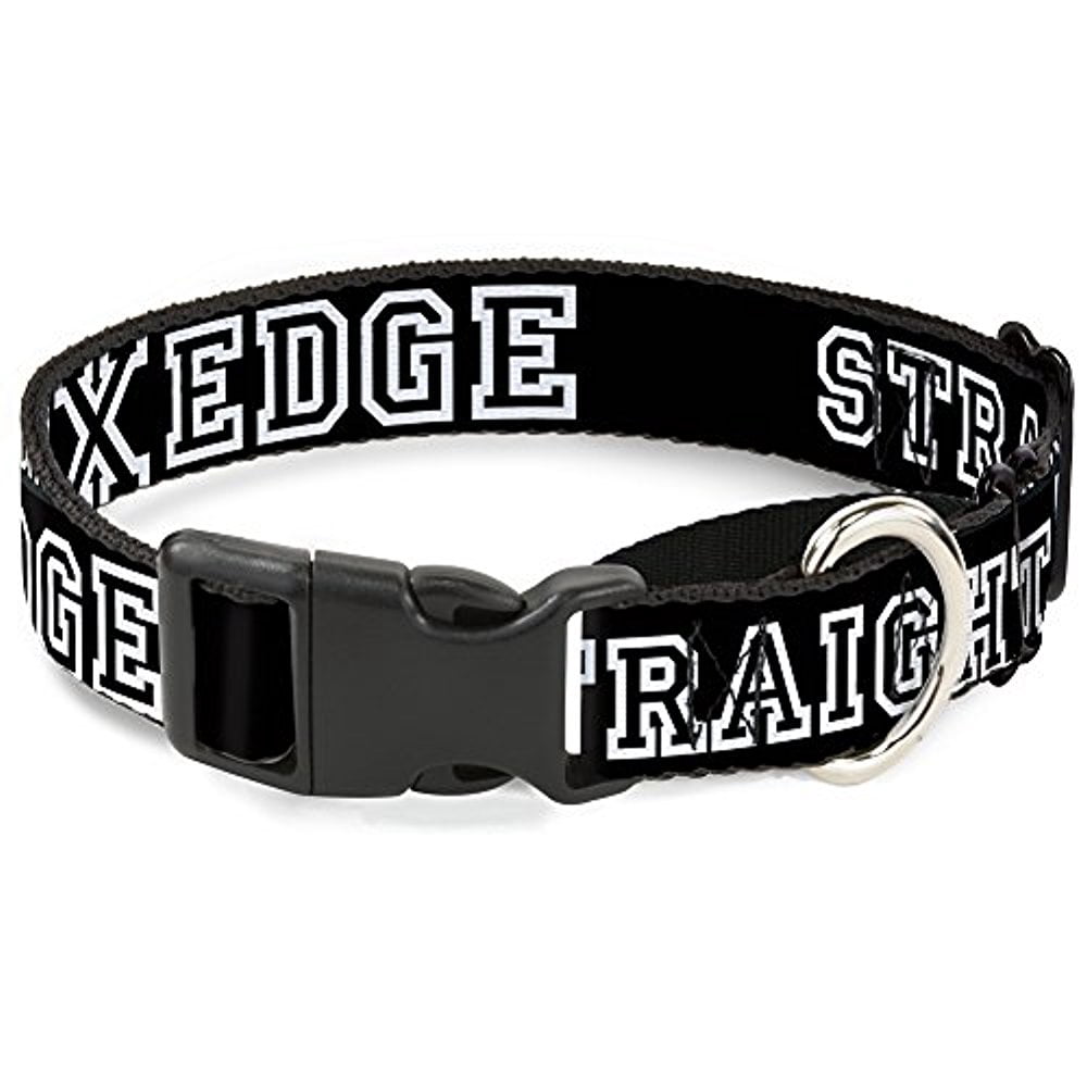 buckle-down "straight edge" martingale dog collar