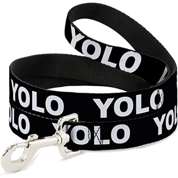 buckle-down "yolo black white" dog leash