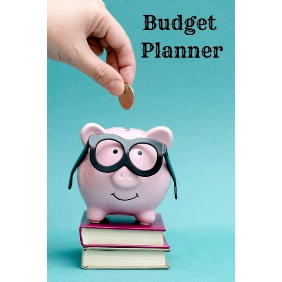 budget log book (Paperback)