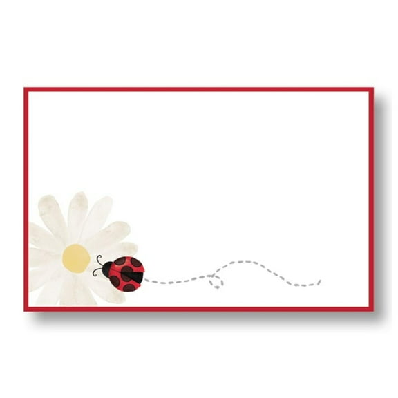 burton+BURTON Ladybug and Daisy Enclosure Cards - 3.5 Inches Wide x 2.25 Inches Tall, 50 Pack (067638) - Ladybug Themed Party Supplies