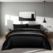 JJCOITR Black Silky Queen Bedding Set Luxurious Satin Comforter Sets with 2 Satin Pillowcases Soft Lightweight for All Seasons 3 Pieces