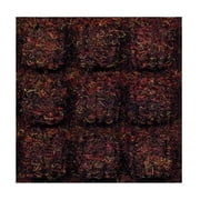 buyMATS 78-880-1403-20000300 2 x 3 ft. Ecomat Squares Mat, Walnut