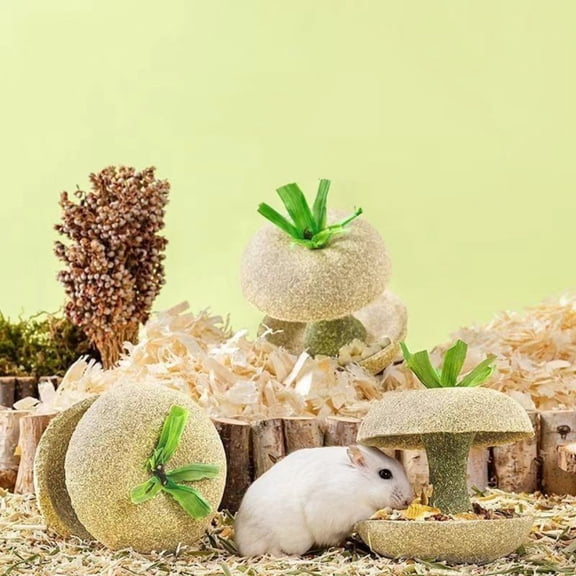 bxhwj Natural Edible Hideout Toy for Hamsters, Apples Core Shaped Chew Toy for Rabbits Chinchillas, Interactive Teething Hideaway for Dental Health Boredom Relief Cage Landscape Decoration Play