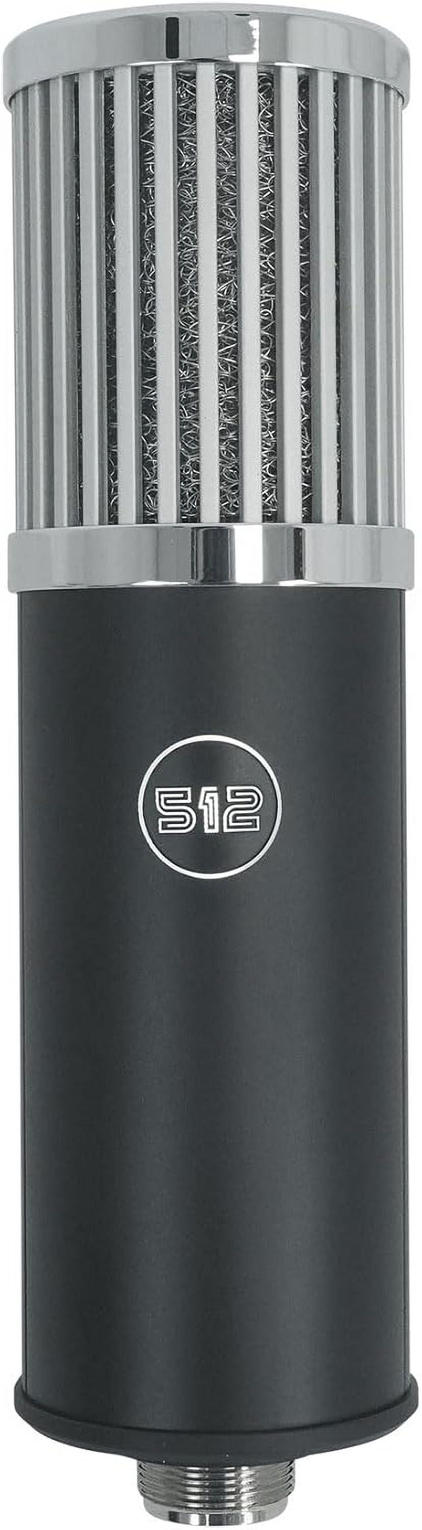 by Warm Audio Skylight Large Diaphragm Studio Condenser XLR Microphone with Shock Mount and Bag for Podcasting