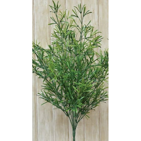 cWI gifts Asparagus Bush 21-Inch