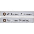 thumbnail image 1 of cWI gifts Autumn Blessings Wooden Blocks 2Set Multi, 1 of 1