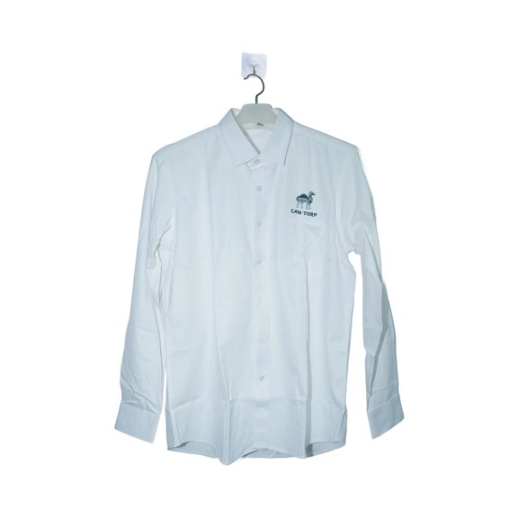 cantorp auspicious clouds and camel Long Sleeve Mens Dress Shirts