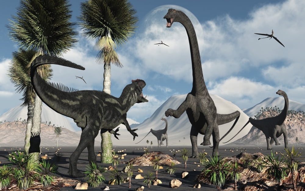 A carnivorous Allosaurus confronts a giant Diplodocus herbivore during the Jurassic period on Earth Canvas Art - Mark StevensonStocktrek Images (36 x 23)