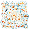 thumbnail image 1 of cartoon Goldfish Theme Stickers, Waterproof Goldfish Theme Sticker for Water Bottle Laptop Phone Cases Planner Skateboard Luggage Helmet Party Favor Decor, Ideal for Adults Teens Teacher Rewards, 1 of 9