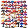 thumbnail image 1 of cartoon Mushroom Theme Stickers, Waterproof Mushroom Theme Sticker for Water Bottle Laptop Phone Cases Planner Skateboard Luggage Helmet Party Favor Decor, Ideal for Adults Teens Teacher Rewards, 1 of 9