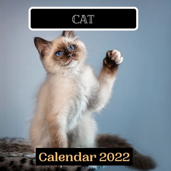 cat calendar 2022 (Paperback)