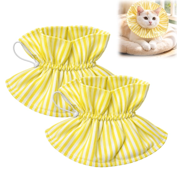 Cat Collar Cone