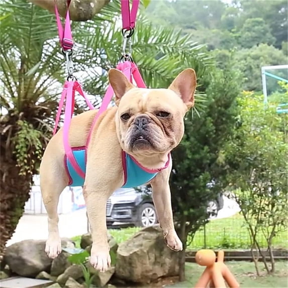 cat and dog Hammock Helper, Durable Puppy Holder, Multifunctional Restraint Bag Pet Grooming Hammock for Trimming Bathing Nail Clipping Grooming Blue Rose