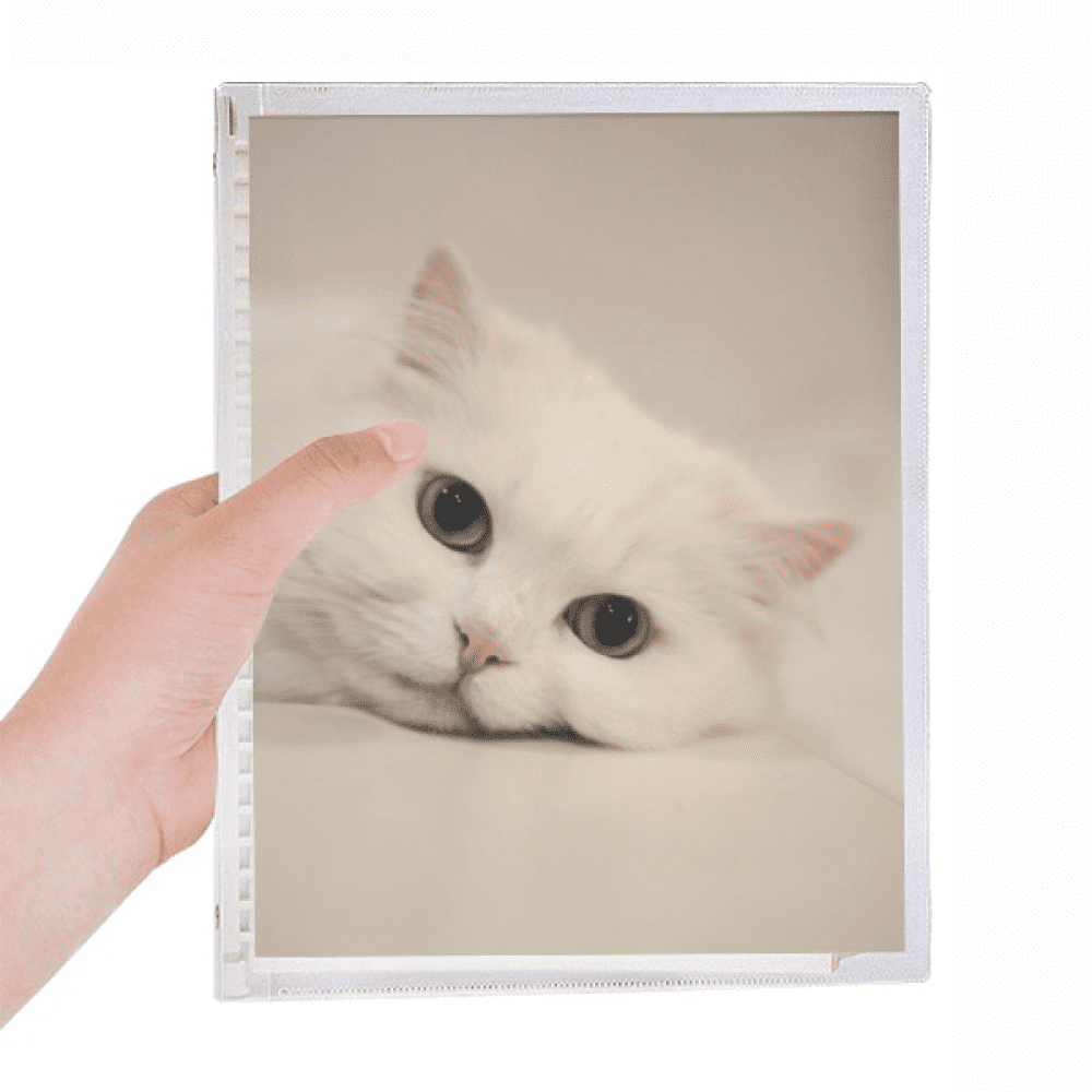 cat white kitty pet animal relax notebook loose diary refillable journal statiry