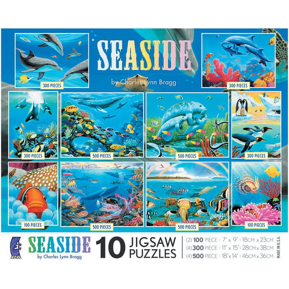 ceaco 10-in-1 multi-pack seaside jigsaw puzzle - Walmart.com