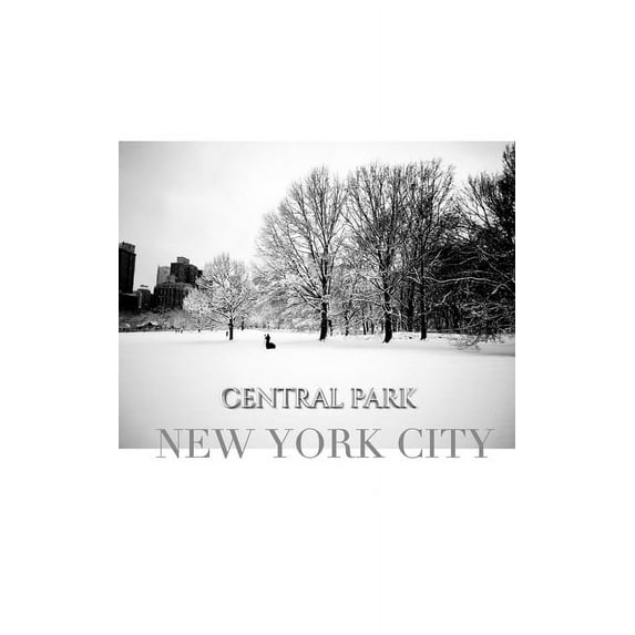central park New York City Winter wonderland blank journal: central park New York City Winter wounderland blank journal, (Paperback)