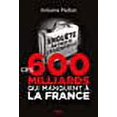 thumbnail image 1 of ces 600 milliards qui manquent à la France ; enquête au coeur de l'évasion fiscale, 1 of 1